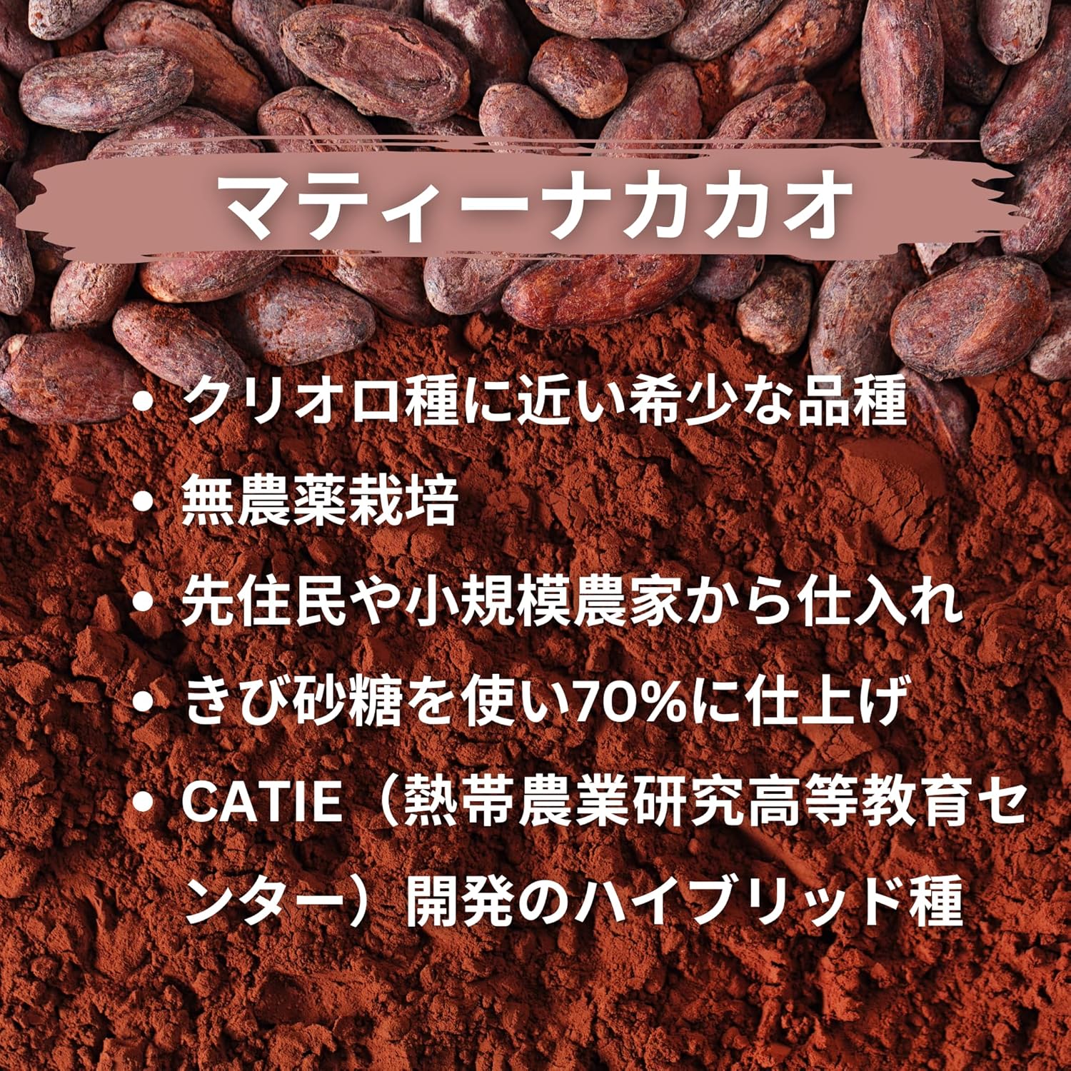 セニョールカカオ チョコレートドリンク70% コスタリカ 1杯分 粉末 非アルカリ処理
