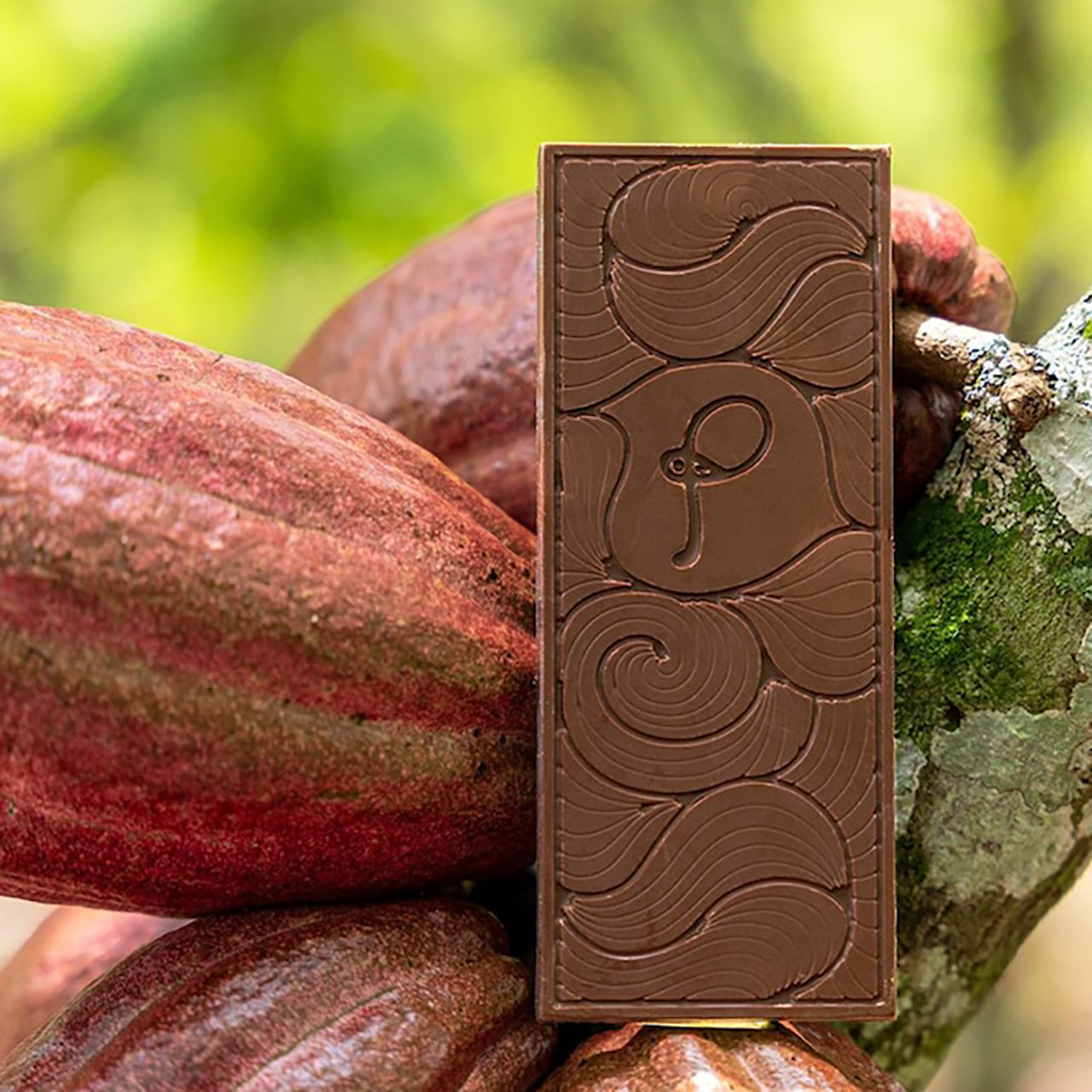 PALATO Chocolate パラトチョコレート 80%カカオ ダークチョコレート